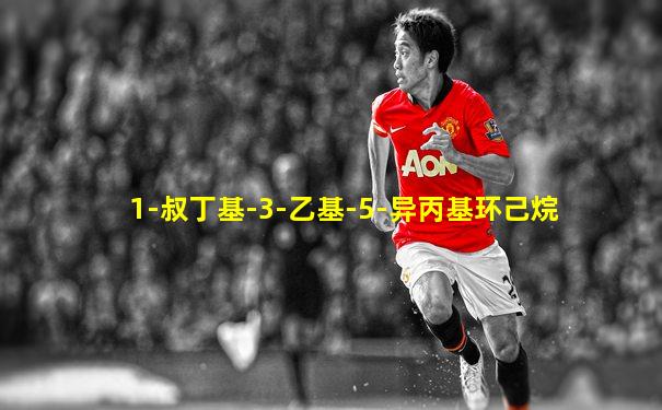 1-叔丁基-3-乙基-5-异丙基环己烷