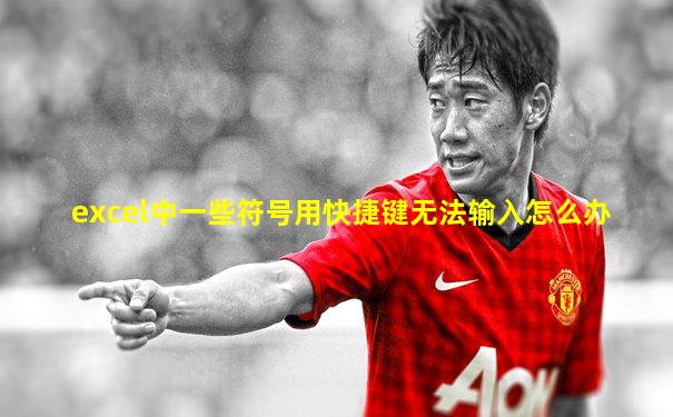 excel中一些符号用快捷键无法输入怎么办