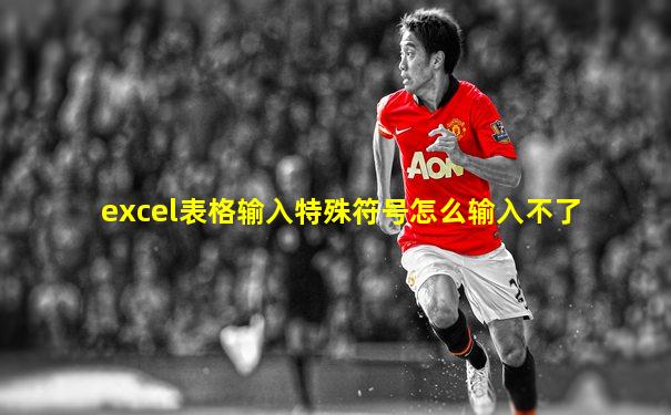 excel表格输入特殊符号怎么输入不了