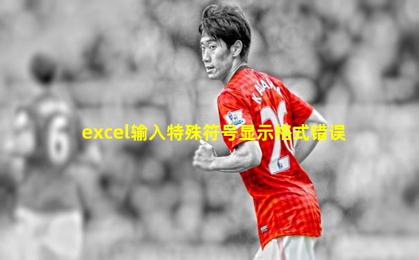 excel输入特殊符号显示格式错误
