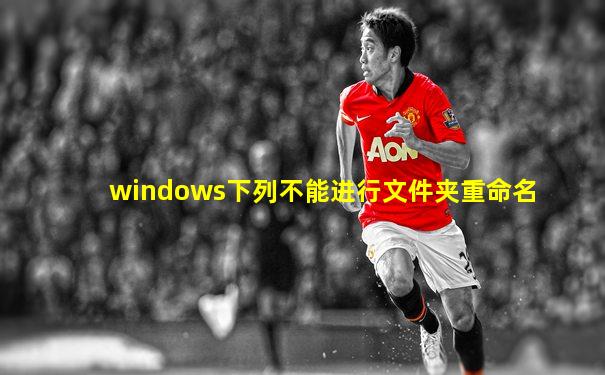 windows下列不能进行文件夹重命名