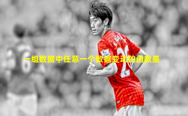 一组数据中任意一个数据变动的函数是