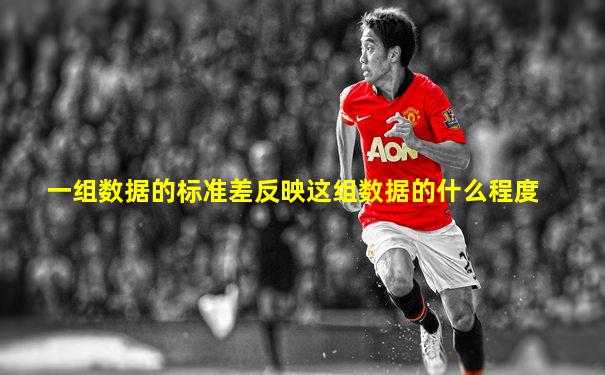 一组数据的标准差反映这组数据的什么程度