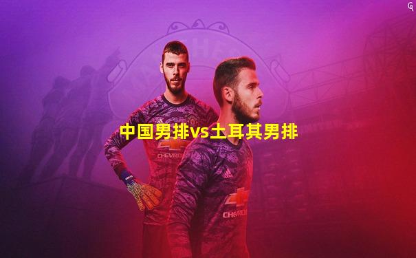 中国男排vs土耳其男排