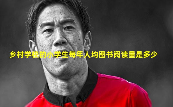 乡村学校的小学生每年人均图书阅读量是多少