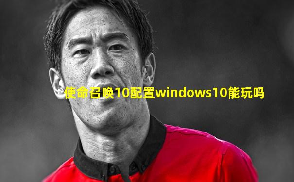 使命召唤10配置windows10能玩吗