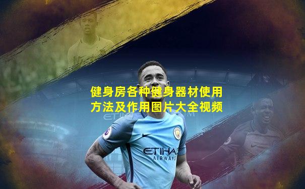 健身房各种健身器材使用方法及作用图片大全视频