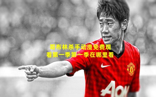 哥布林杀手动漫免费观看第一季第一季在哪里看