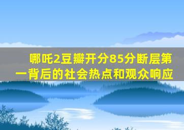 哪吒2豆瓣开分85分断层第一背后的社会热点和观众响应