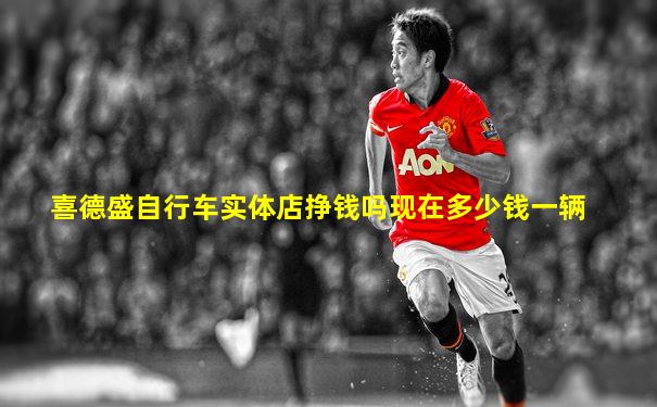 喜德盛自行车实体店挣钱吗现在多少钱一辆
