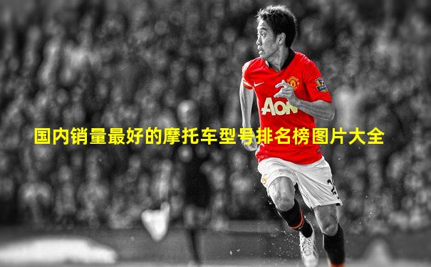 国内销量最好的摩托车型号排名榜图片大全