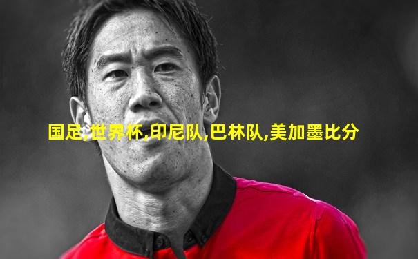 国足,世界杯,印尼队,巴林队,美加墨比分