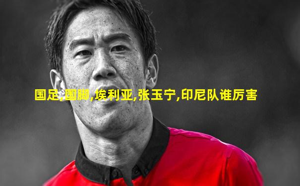 国足,国脚,埃利亚,张玉宁,印尼队谁厉害