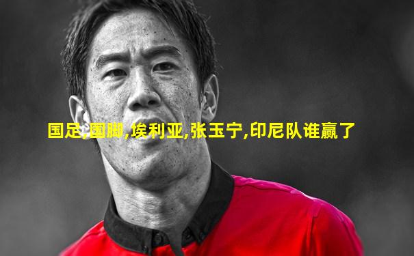 国足,国脚,埃利亚,张玉宁,印尼队谁赢了