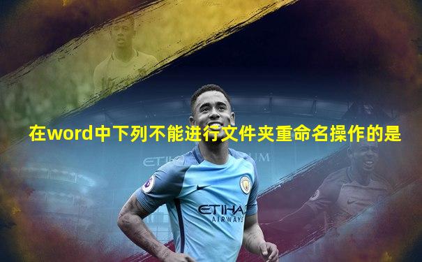 在word中下列不能进行文件夹重命名操作的是