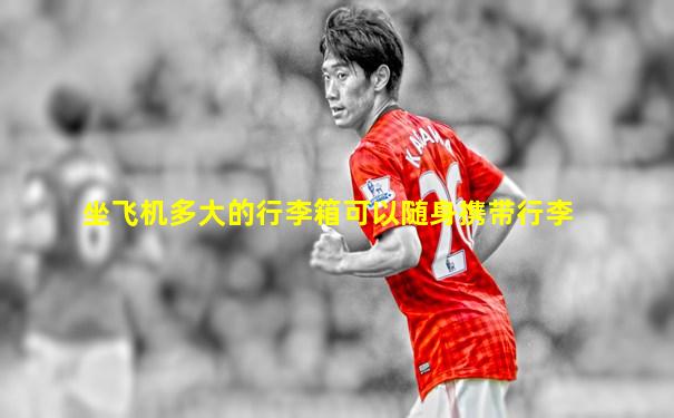 坐飞机多大的行李箱可以随身携带行李