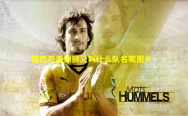 墨西哥美洲狮又叫什么队名呢图片