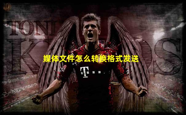 媒体文件怎么转换格式发送