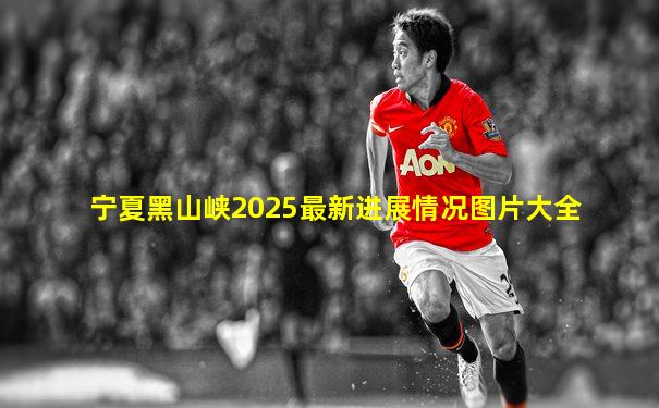 宁夏黑山峡2025最新进展情况图片大全