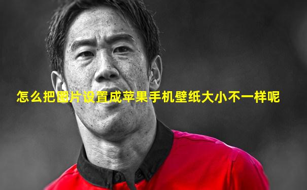 怎么把图片设置成苹果手机壁纸大小不一样呢