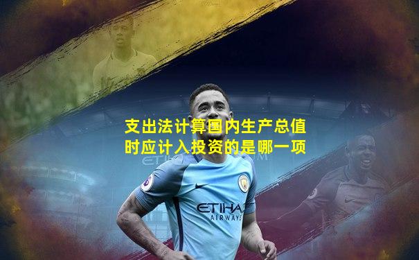 支出法计算国内生产总值时应计入投资的是哪一项
