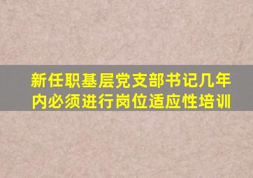 新任职基层党支部书记几年内必须进行岗位适应性培训