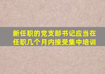 新任职的党支部书记应当在任职几个月内接受集中培训