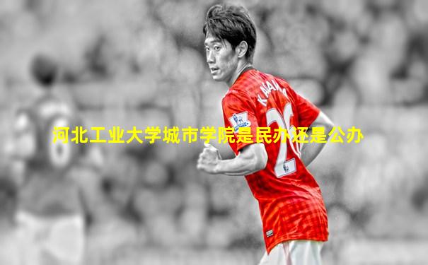 河北工业大学城市学院是民办还是公办