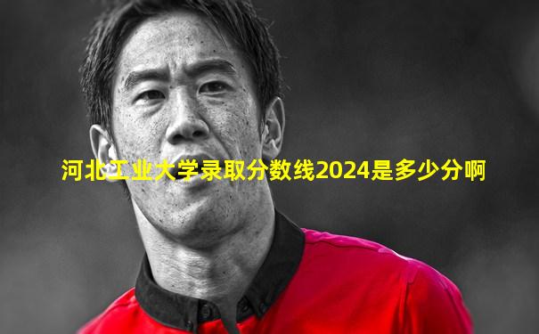河北工业大学录取分数线2024是多少分啊