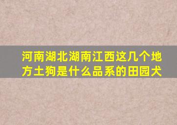 河南湖北湖南江西这几个地方土狗是什么品系的田园犬