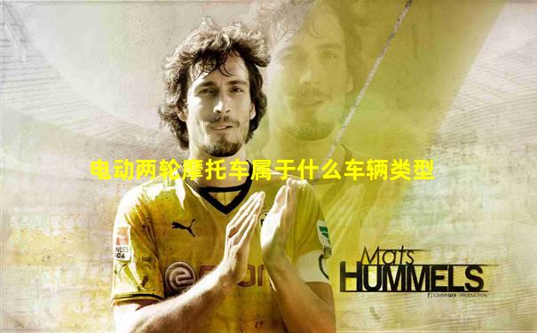 电动两轮摩托车属于什么车辆类型