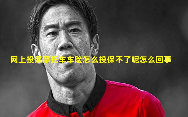 网上投保摩托车车险怎么投保不了呢怎么回事