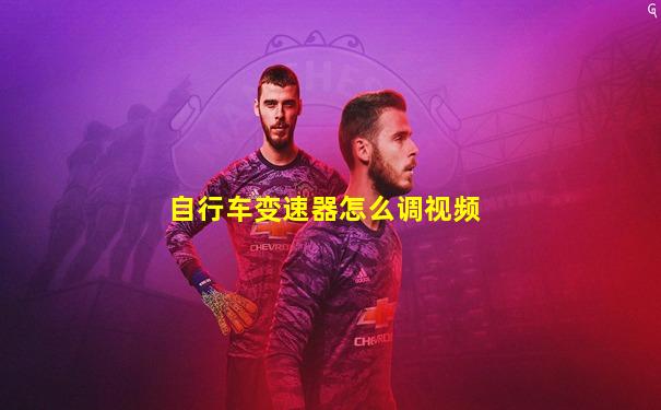 自行车变速器怎么调视频