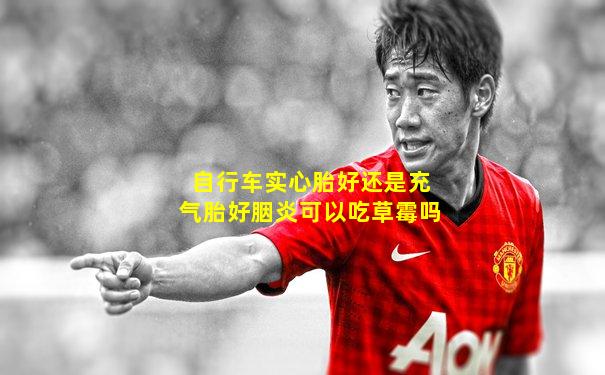 自行车实心胎好还是充气胎好胭炎可以吃草霉吗