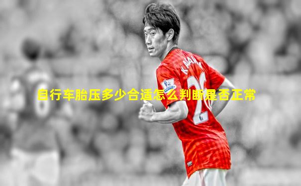 自行车胎压多少合适怎么判断是否正常