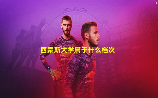 西蒙斯大学属于什么档次
