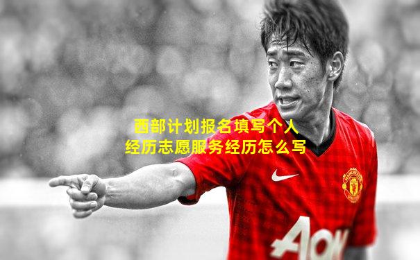 西部计划报名填写个人经历志愿服务经历怎么写